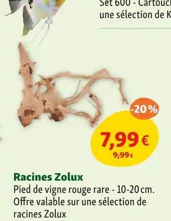ZOLUX Racines