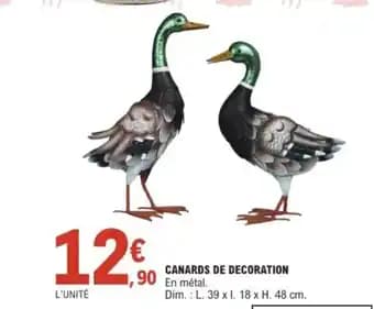 Canards de decoration