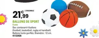 Ballons de sport