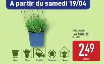 GARDENLINE® Lavande