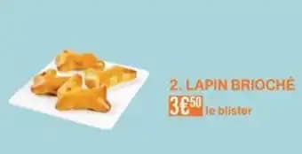 Lapin brioché