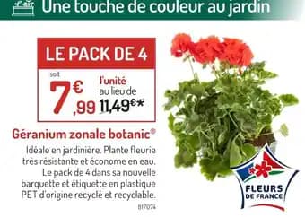 botanic Géranium zonale