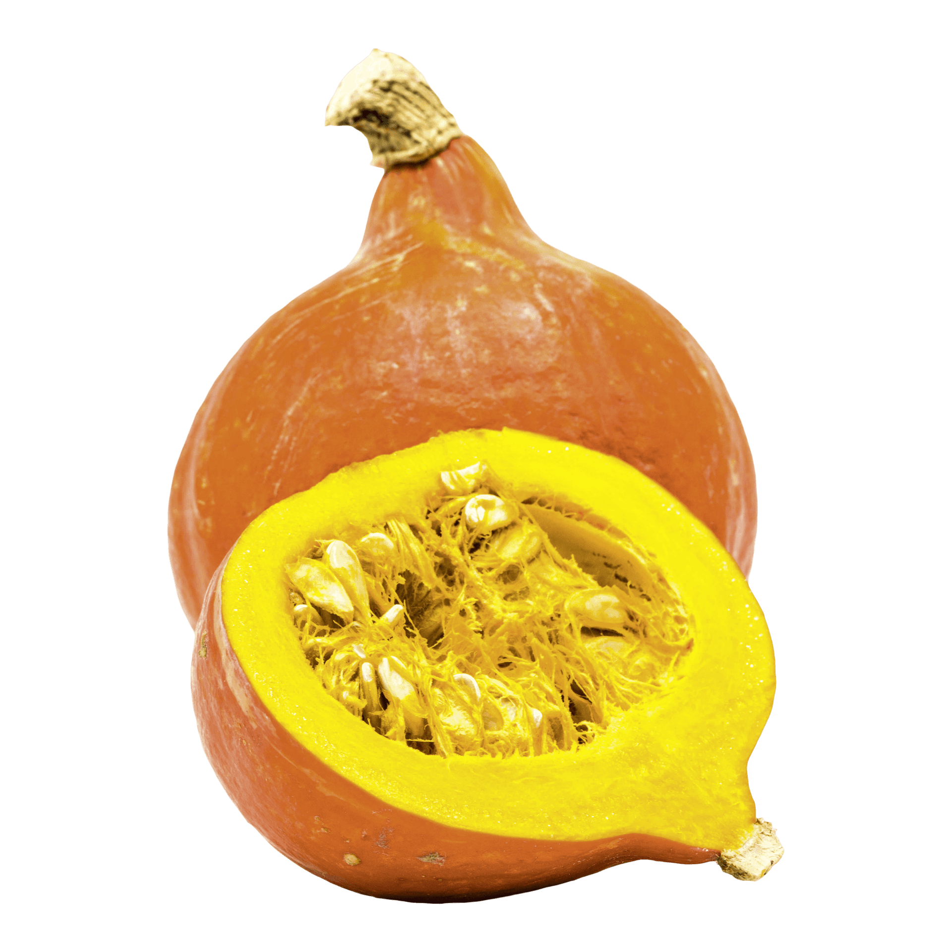 Potimarron