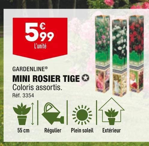 GARDENLINE MINI ROSIER TIGE