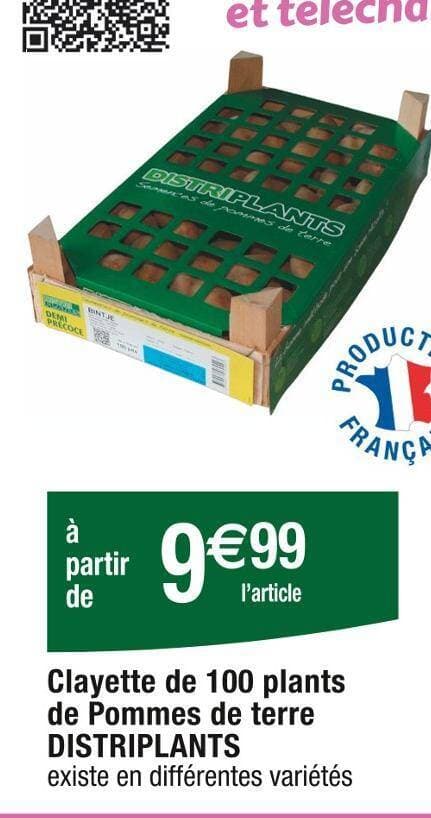DISTRIPLANTS Clayette de 100 plants de Pommes de terre