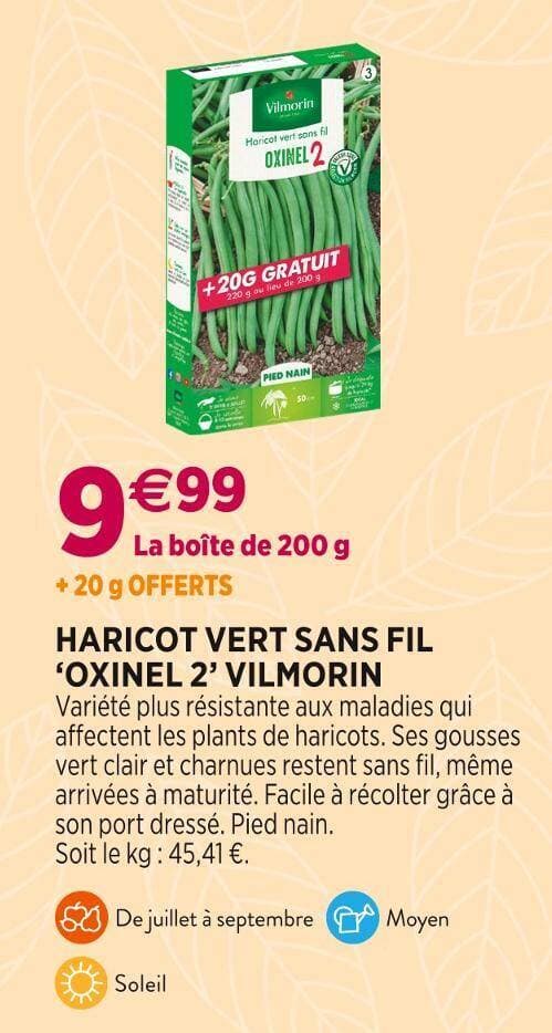 VILMORIN HARICOT VERT SANS FIL ‘OXINEL 2’