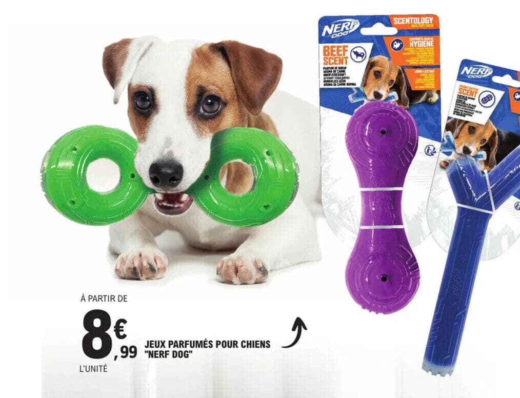 JEUX PARFUMÉS POUR CHIENS "NERF DOG"