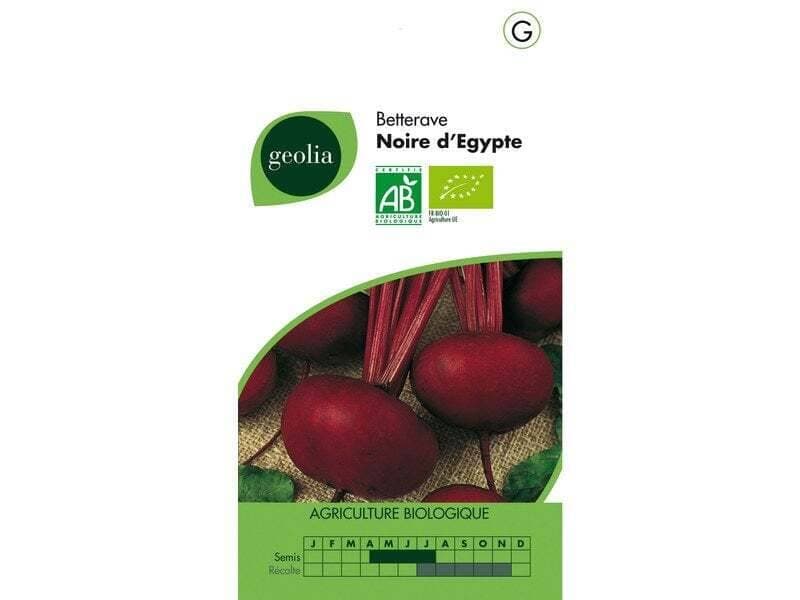 Betterave Noire D'Egypte Geolia 6 G
