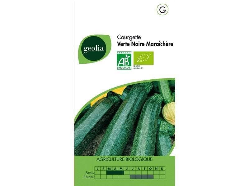 Courgette Noire Maraîchère Geolia 3 G