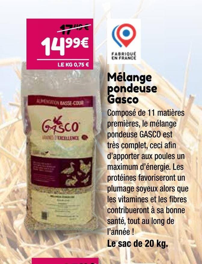 Gasco Mélange pondeuse