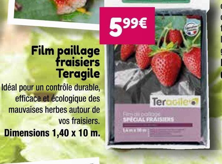 Teragile Film paillage fraisiers