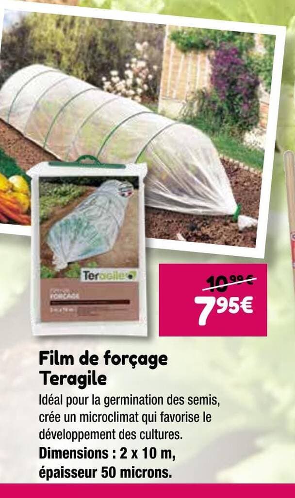 Teragile Film de forçage