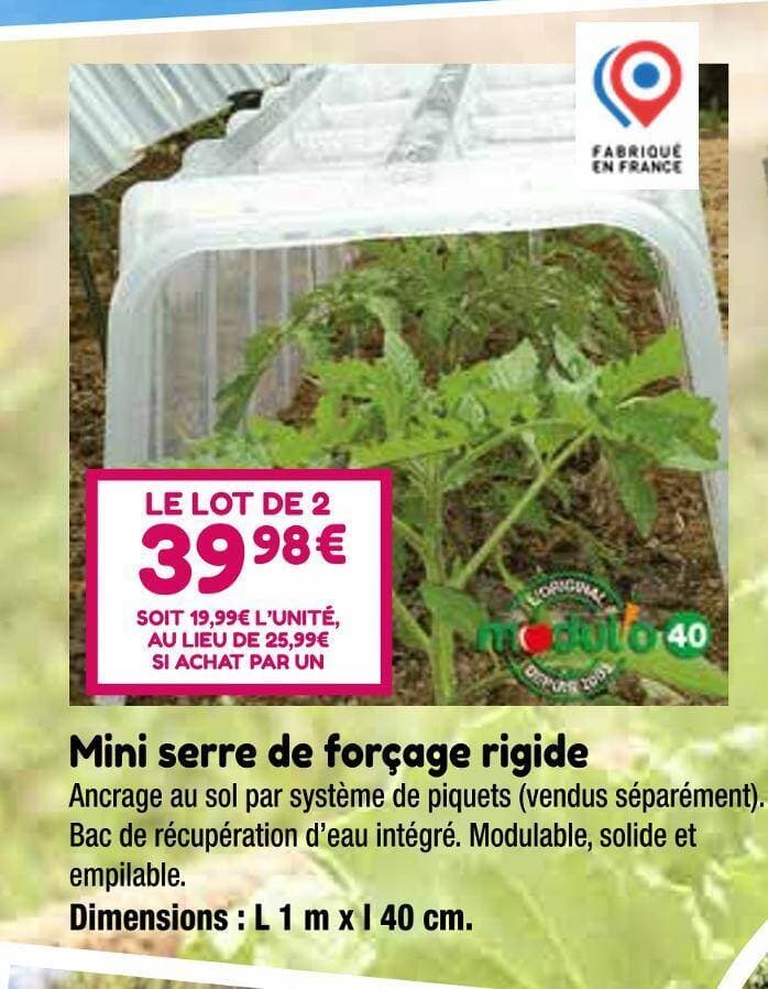 Mini serre de forçage rigide