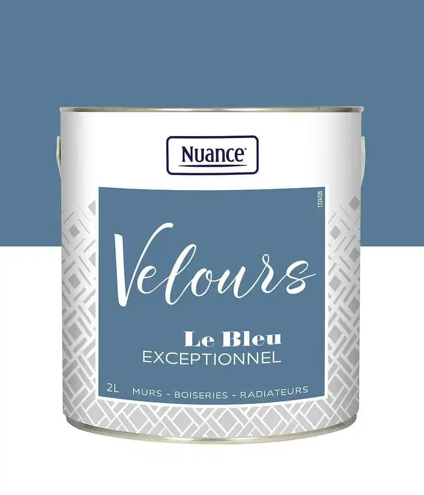 Peinture Velours - Bleu exceptionnel - Multi-support - 2L