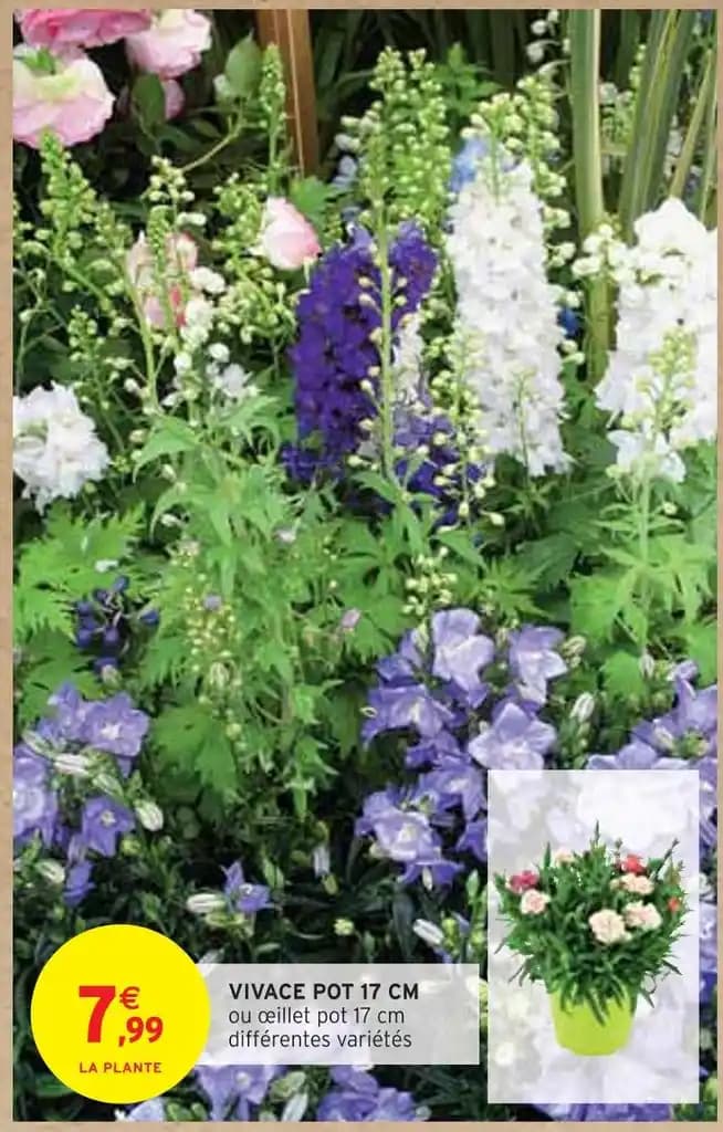 VIVACE POT 17 CM