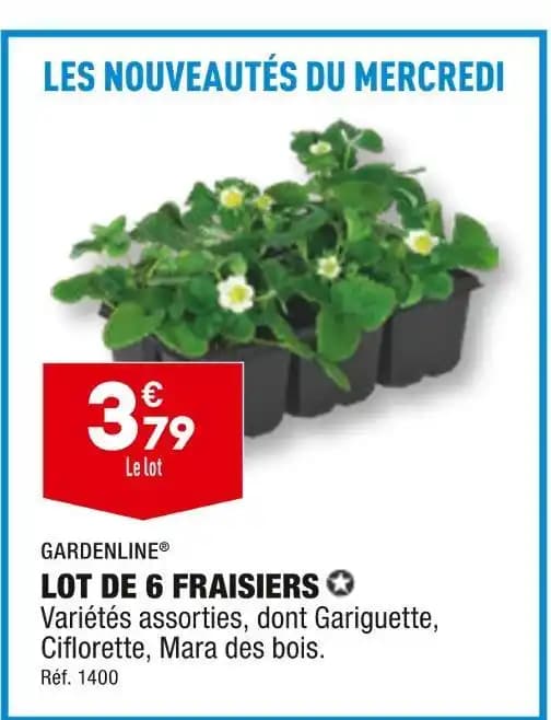 GARDENLINE LOT DE 6 FRAISIERS