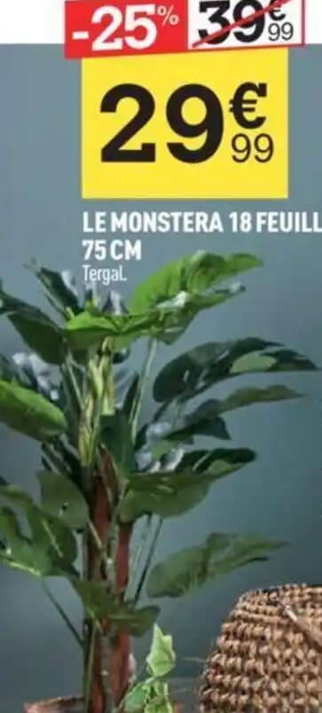 LE MONSTERA 18 FEUILLES 75 CM Tergal