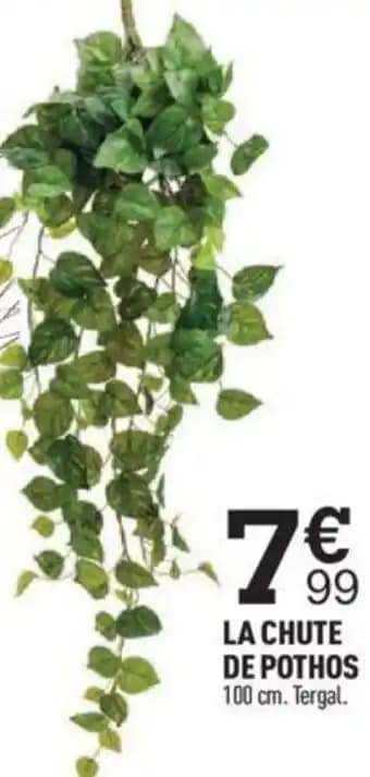 LA CHUTE DE POTHOS 100 cm. Tergal.