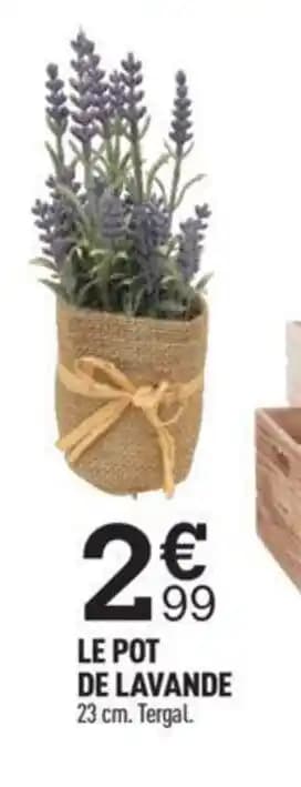 LE POT DE LAVANDE 23 cm. Tergal.