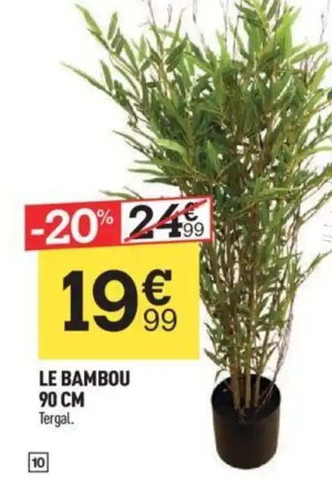 LE BAMBOU 90 CM Tergal.