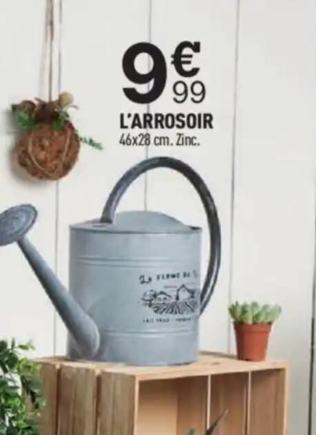 L'ARROSOIR 46x28 cm. Zinc.