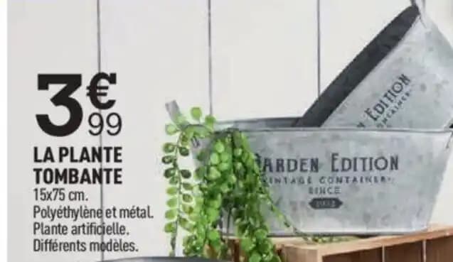 LA PLANTE TOMBANTE 15x75 cm. Polyéthylène et métal.