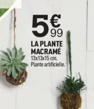 LA PLANTE MACRAMÉ 13x13x15 cm. Plante artificielle.