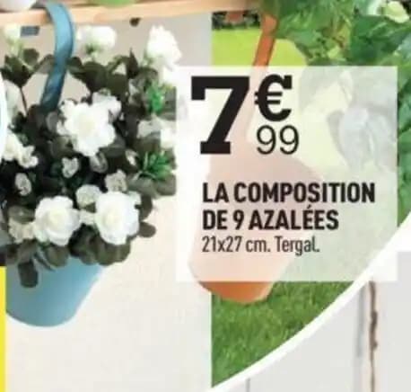 LA COMPOSITION DE 9 AZALÉES 21x27 cm. Tergal.