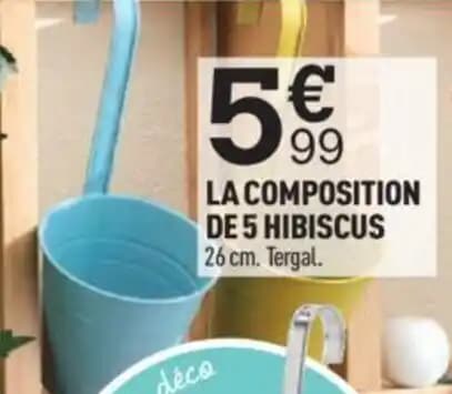 LA COMPOSITION DE 5 HIBISCUS 26 cm. Tergal.