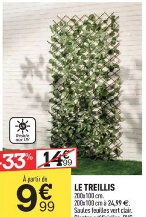 LE TREILLIS 200x100 cm. 200x100 cm à 24,99€. Saules feuilles vert clair.