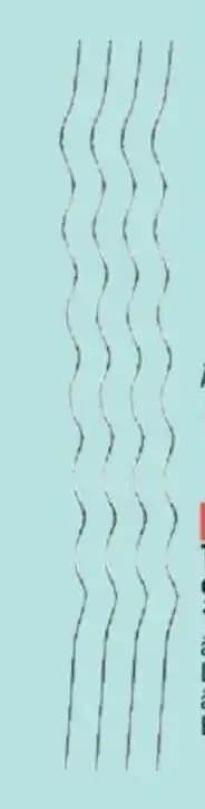 LE TUTEUR À TOMATE Acier galvanisé.