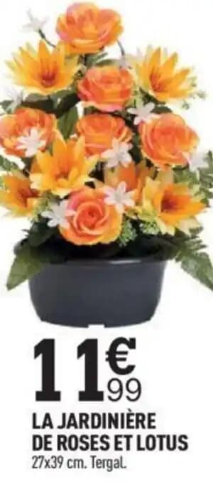 LA JARDINIÈRE DE ROSES ET LOTUS 27x39 cm. Tergal