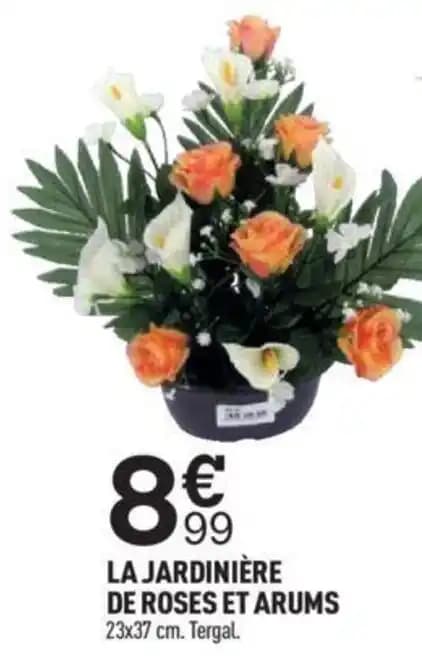 LA JARDINIÈRE DE ROSES ET ARUMS 23x37 cm. Tergal.