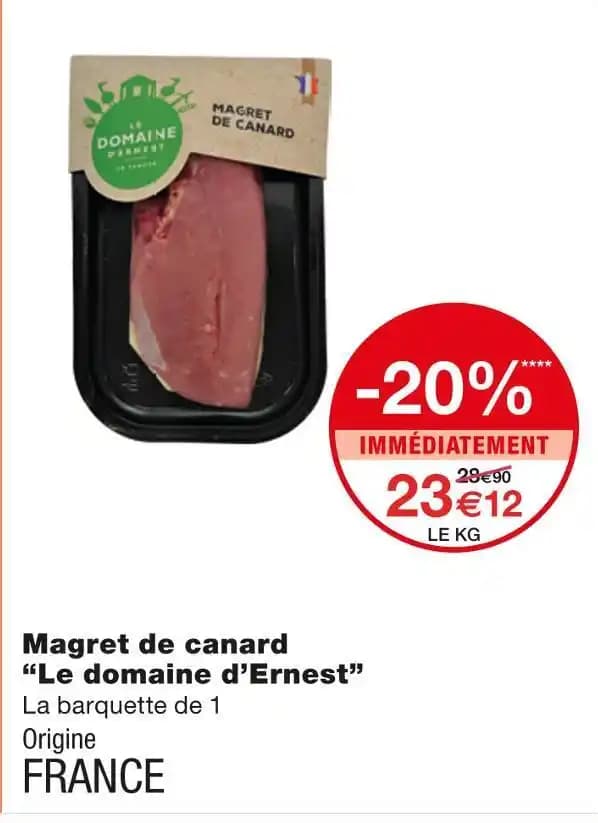 Le domaine d'Ernest Magret de canard