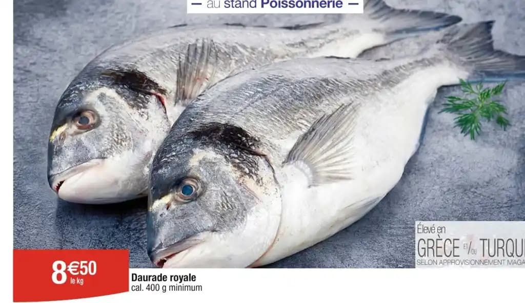 Daurade royale cal. 400 g minimum