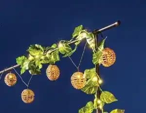 Guirlande lumineuse eucalyptus