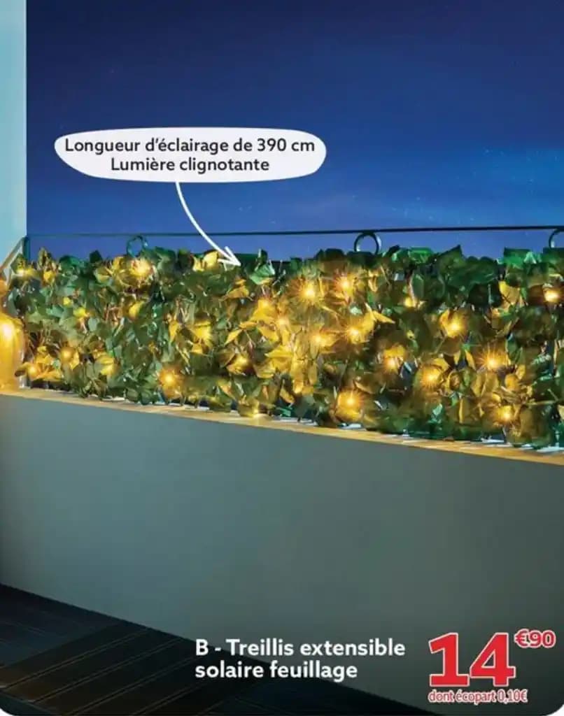 B-Treillis extensible solaire feuillage