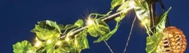 C - Guirlande lumineuse eucalyptus