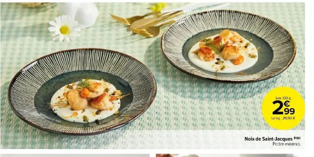 Noix de Saint-Jacques (p)