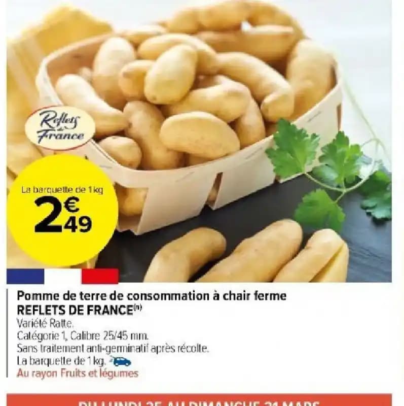 Pomme de terre de consommation à chair ferme