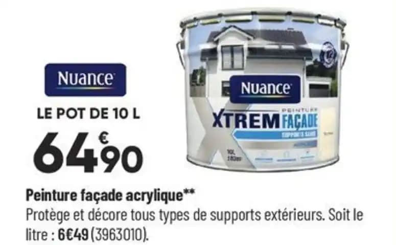 Peinture façade acrylique**