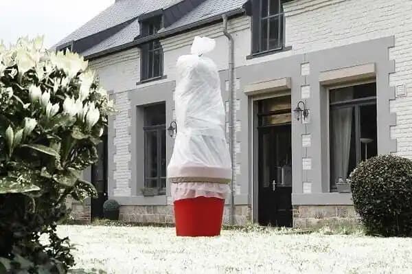 Voile de protection polypropylène 45 g-m2 blanc 4x6m