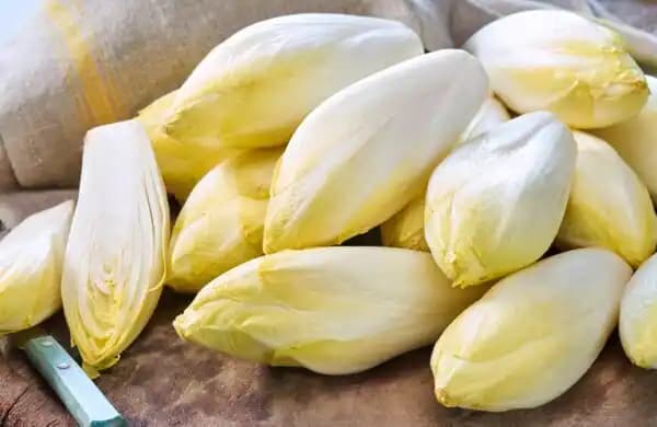 Endive