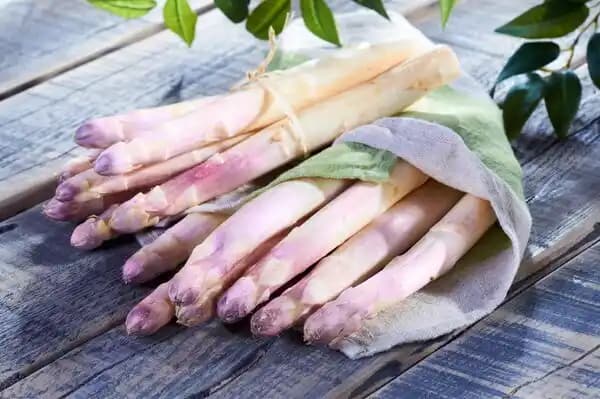 Asperges violettes