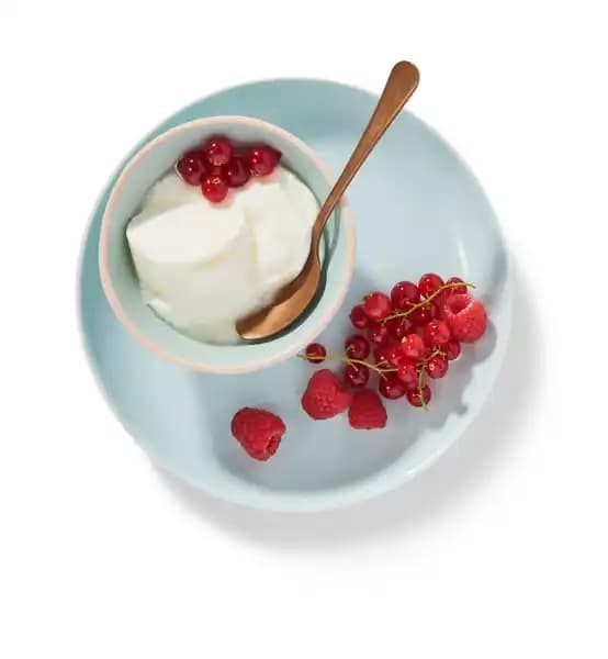 YAOS Yaourt à la Grecque Offre Découverte