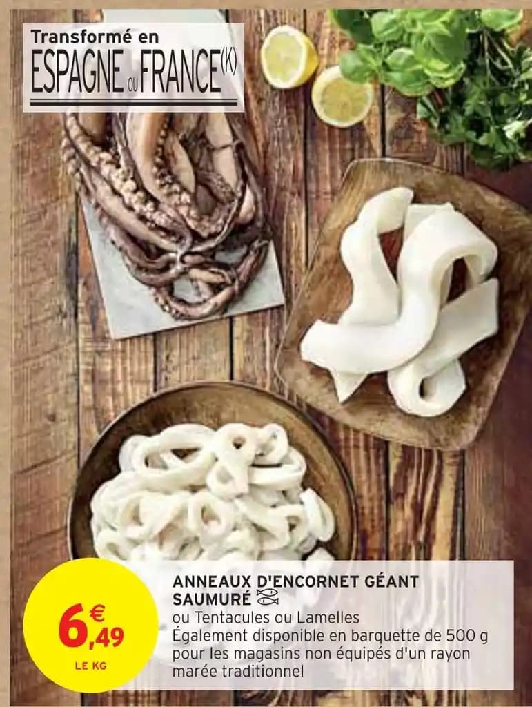 SAUMURÉ ANNEAUX D'ENCORNET GÉANT