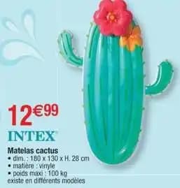 Intex - matelas cactus