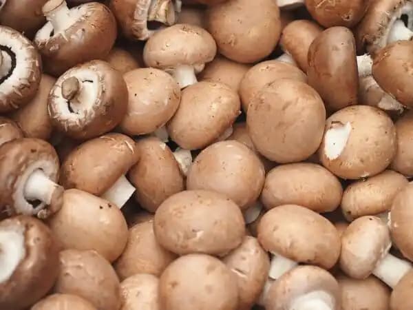 Champignons bruns FILIÈRE QUALITÉ CARREFOUR