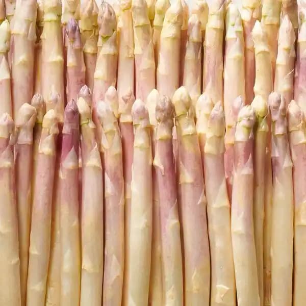 Asperge violette