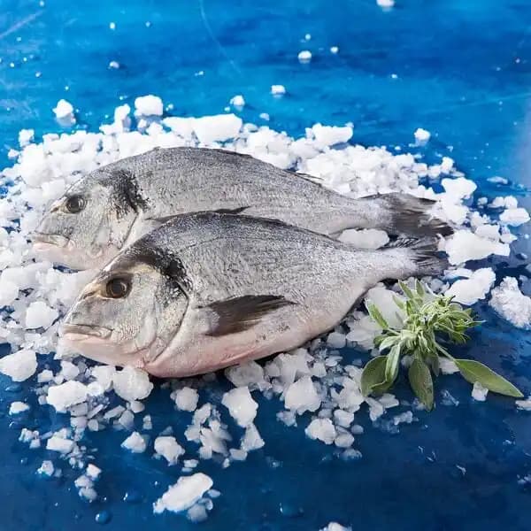 Dorade Royale Filière Auchan Cultivons Le Bon